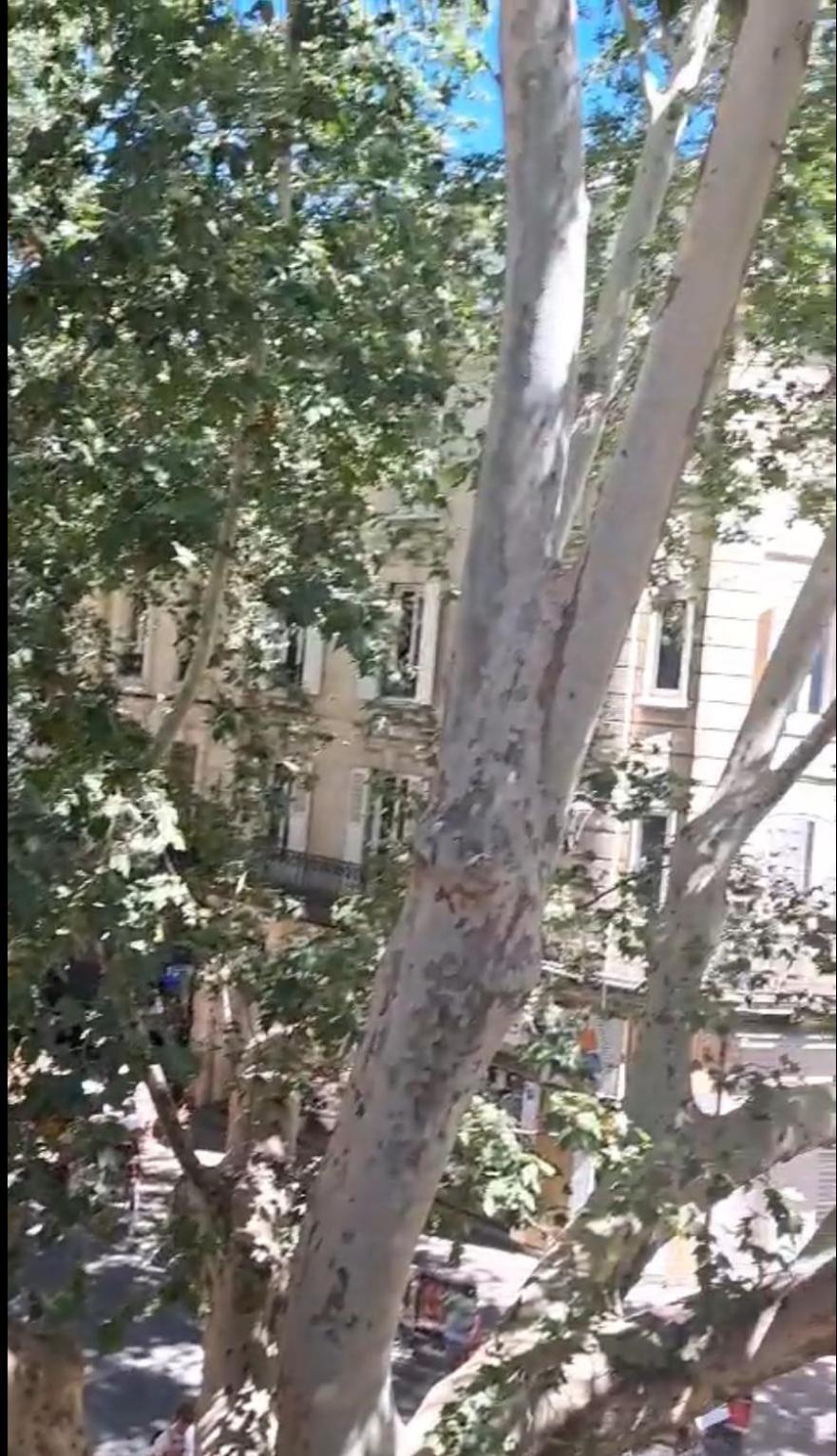 شقة Avignon Pedestrian Area, Charming, 4 Persons المظهر الخارجي الصورة